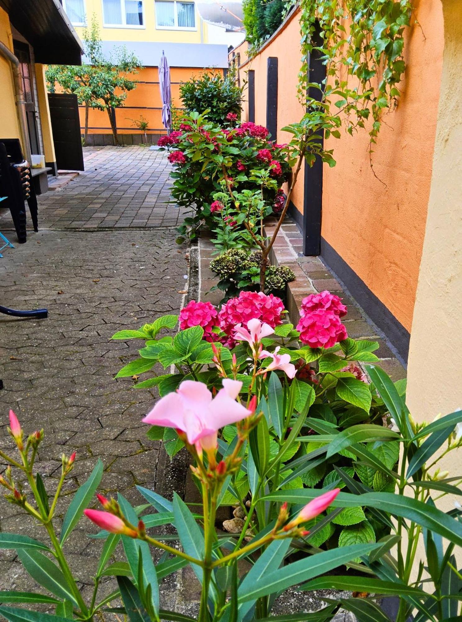 Apartment Casa Gia Dg *